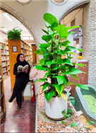 اخبار و اطلاعیه